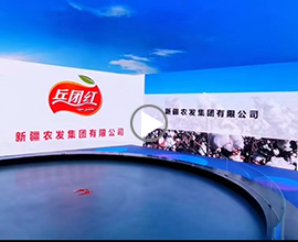 新疆农发集团控股——新疆疆南希望农业发展集团有限公司
