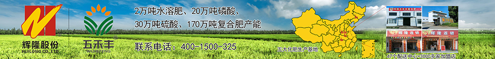 安徽辉隆农资集团股份有限公司