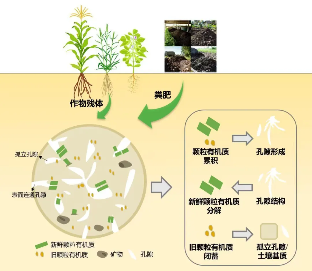 微信图片_20250929094644_40_2.png